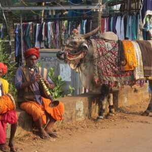 INDIE: RADŻASTAN I GOA