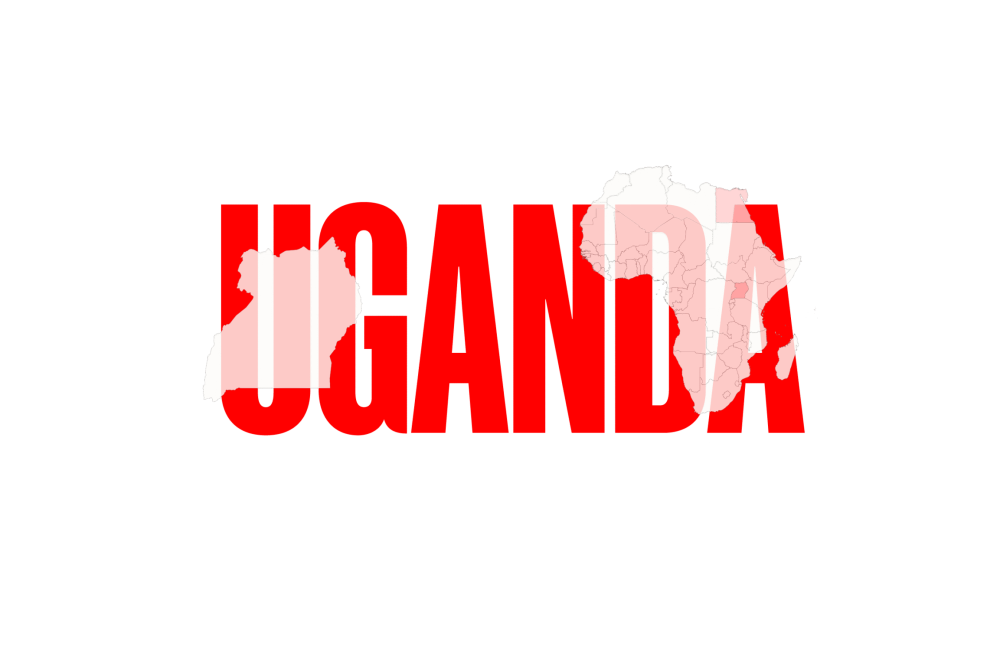 Elementy_PNG21