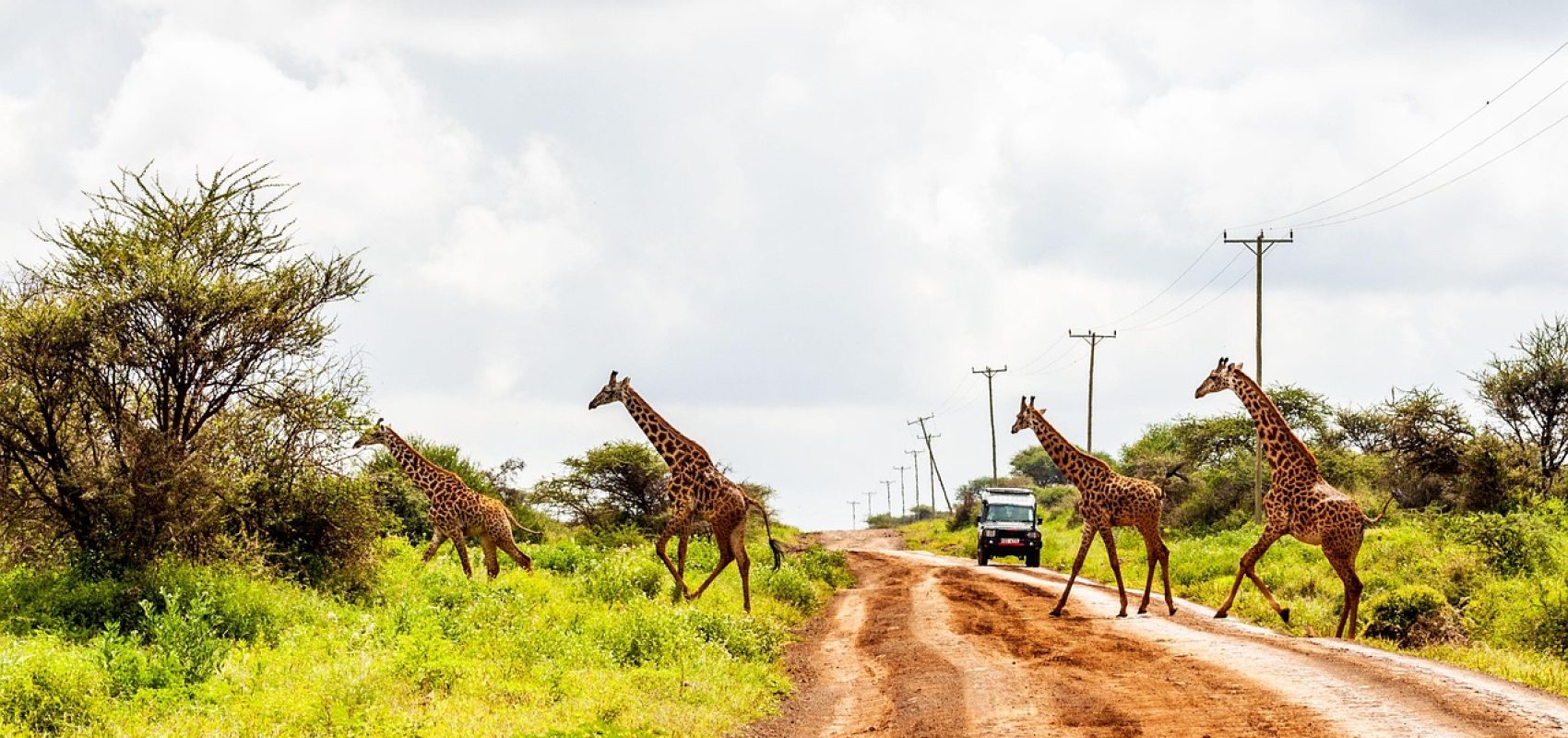 amboseli-4744085_1280
