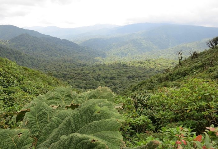 costa-rica-2400159_1280