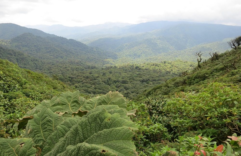 costa-rica-2400159_1280