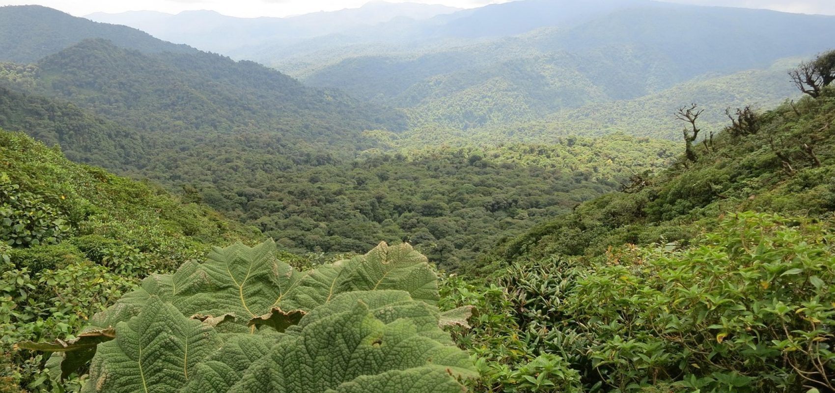 costa-rica-2400159_1280