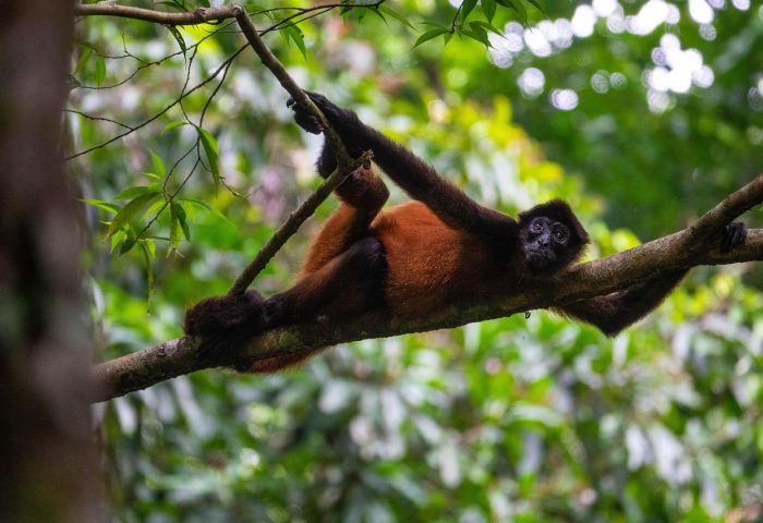 costa-rica-8606836_1280