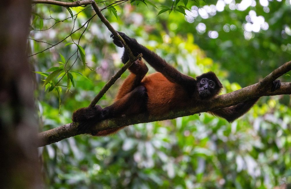 costa-rica-8606836_1280