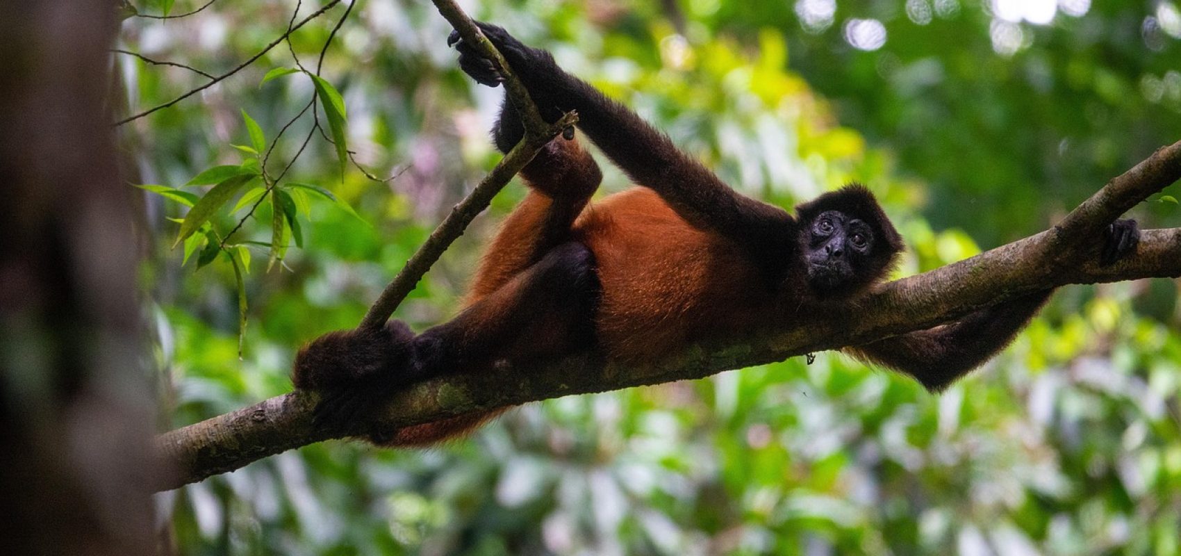 costa-rica-8606836_1280