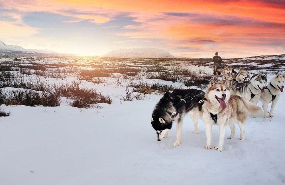 iceland-5121046_1280