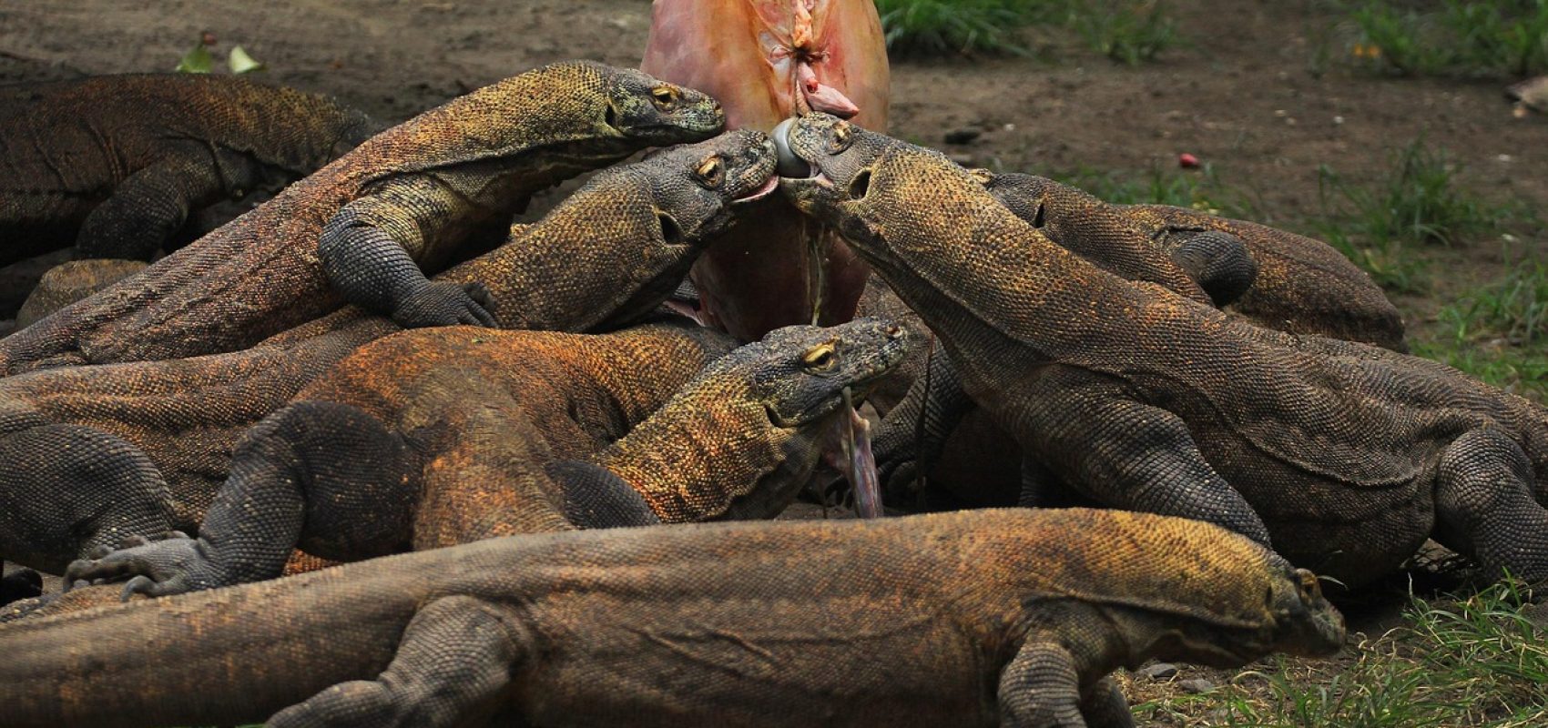 indonesia-4521799_1280
