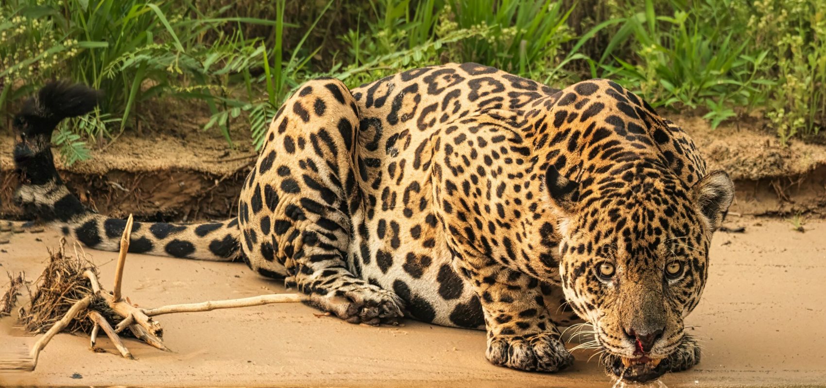 joanne-de-graaff-LvuPJF_BK10-unsplash