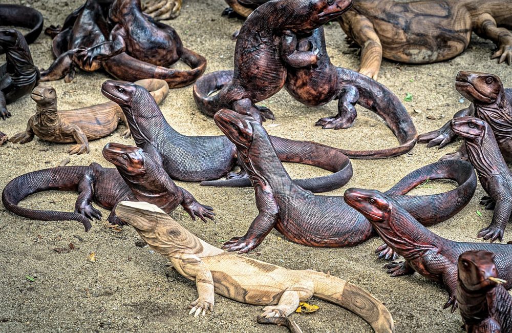 komodo-dragons-2392152_1280
