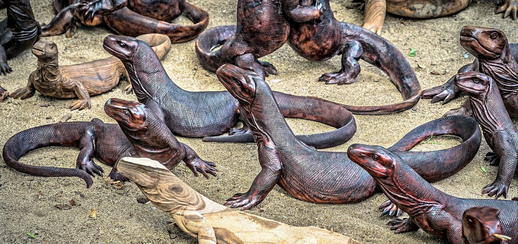 komodo-dragons-2392152_1280