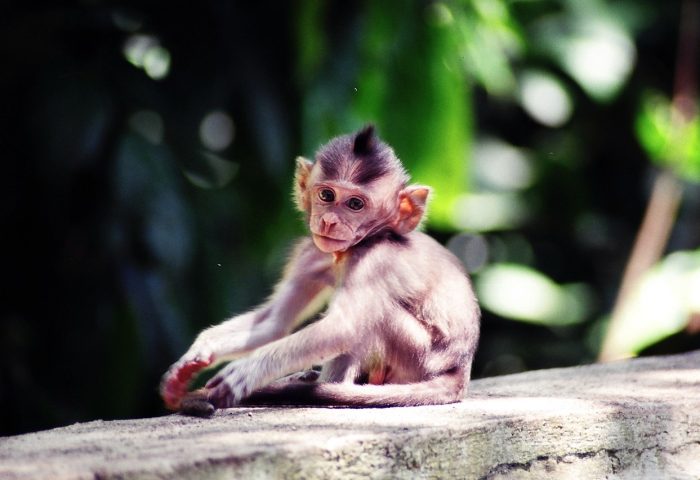 pensive-2342568_1280