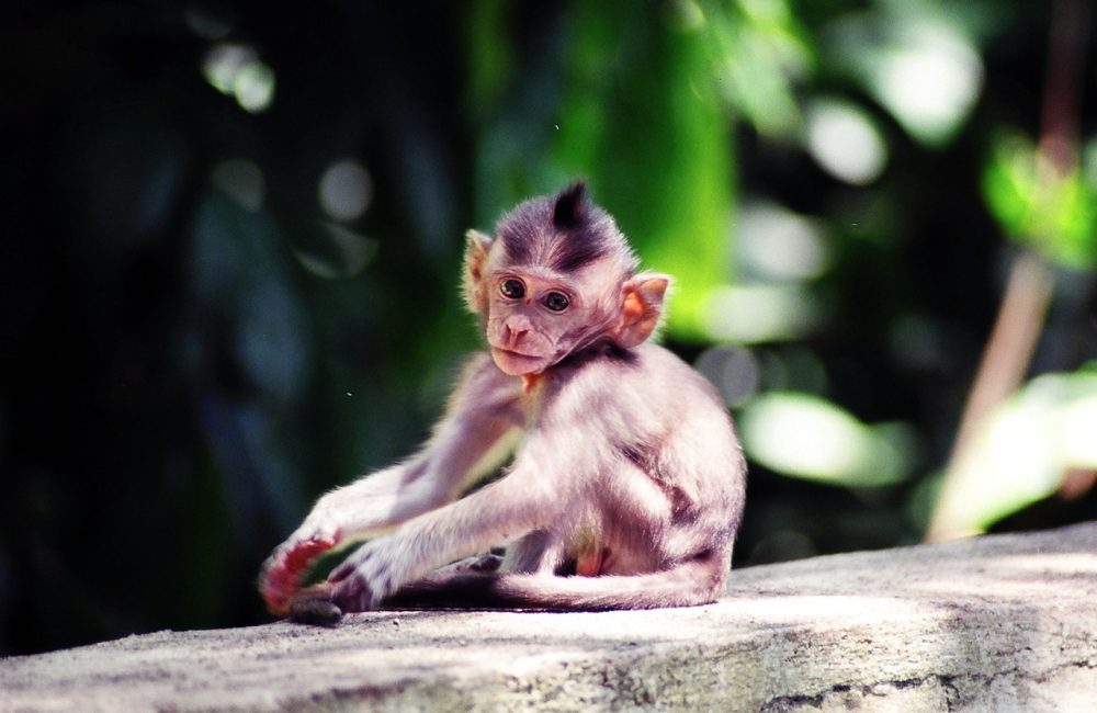 pensive-2342568_1280
