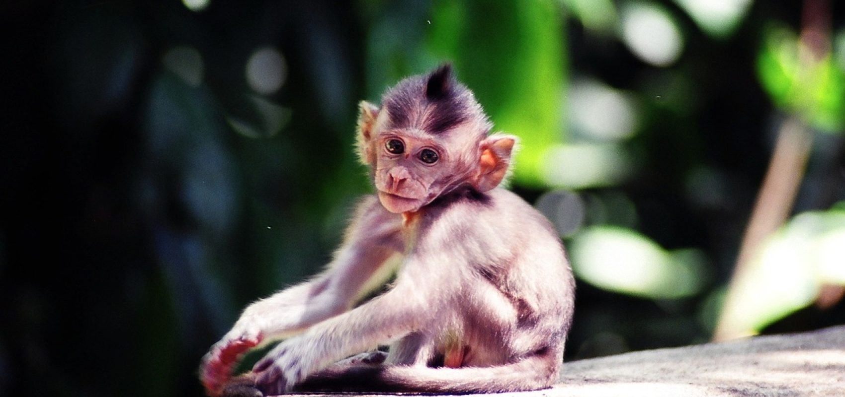 pensive-2342568_1280