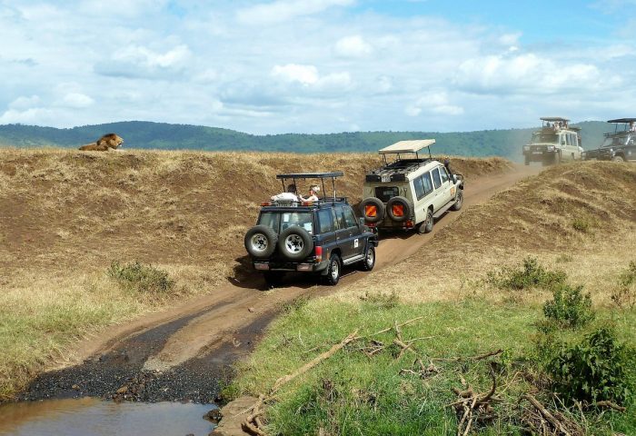 safari-1845202_1280
