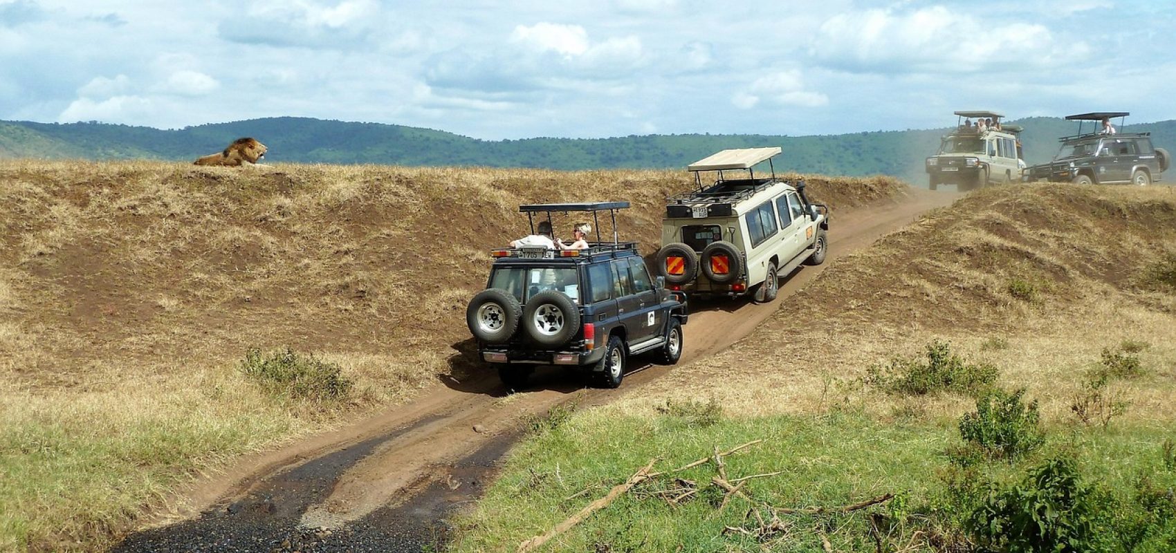 safari-1845202_1280