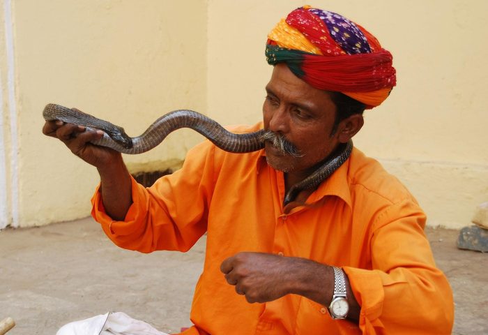snake-charmer-jaipur-2755340_1280