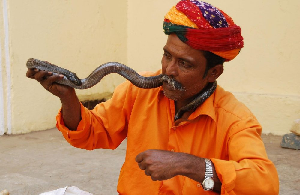 snake-charmer-jaipur-2755340_1280