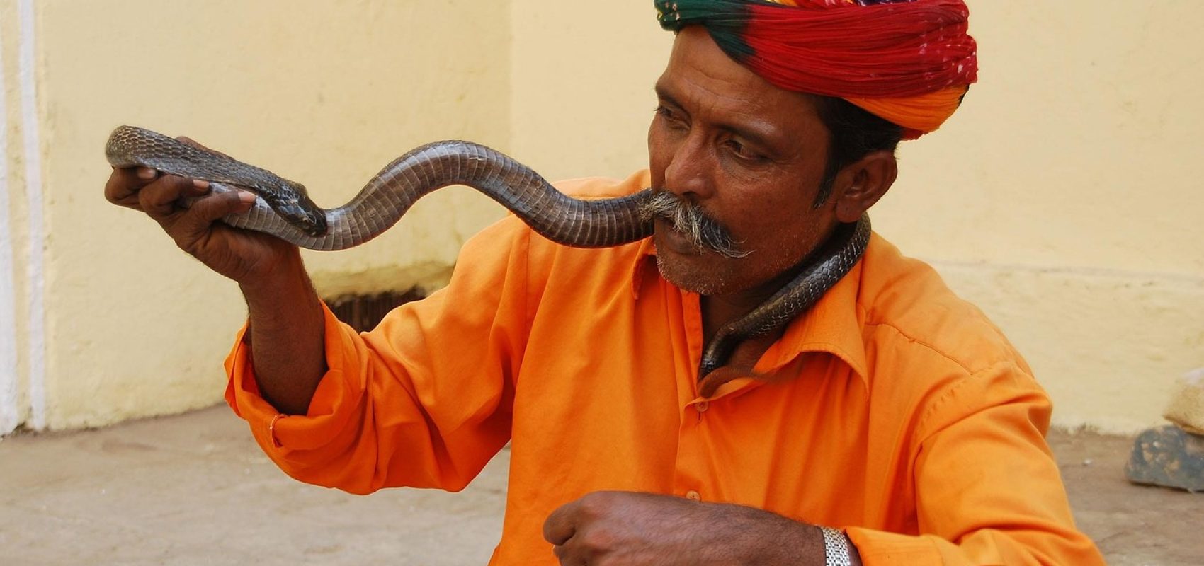 snake-charmer-jaipur-2755340_1280