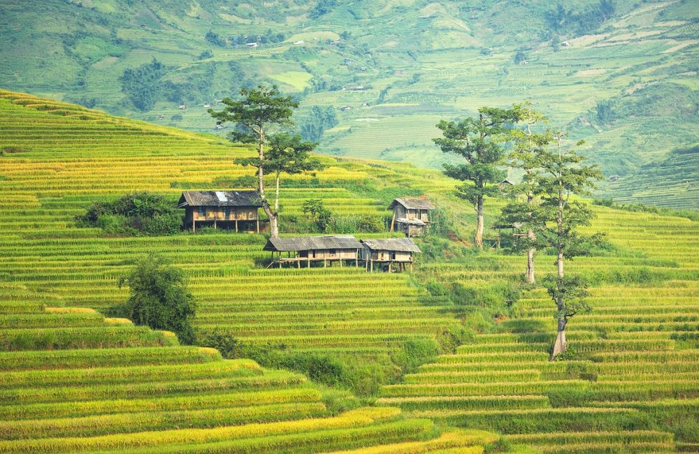 village-1822441_1280